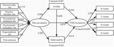 Risk Perception and PTSD Symptoms of Medical Staff Combating Against COVID-19: A PLS Structural Equation Model